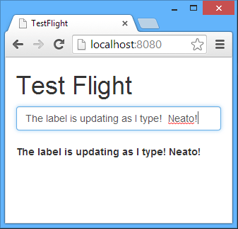 Flight Demo Screenshot